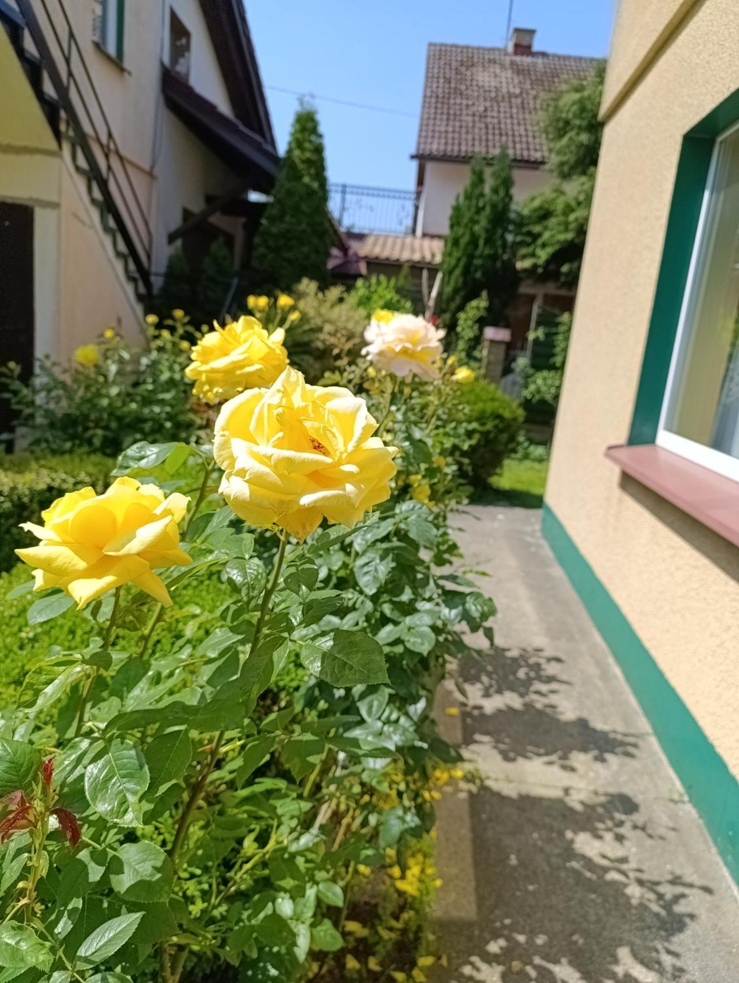 Mietowa Przystan Hotel เมียลโน ภายนอก รูปภาพ